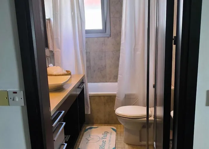 Blue Tulip - Strovolos ラカタミア