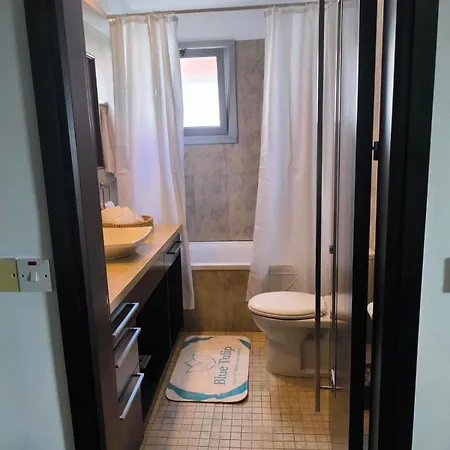 Blue Tulip - Strovolos Lakatamia