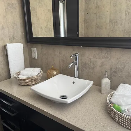 Blue Tulip - Strovolos