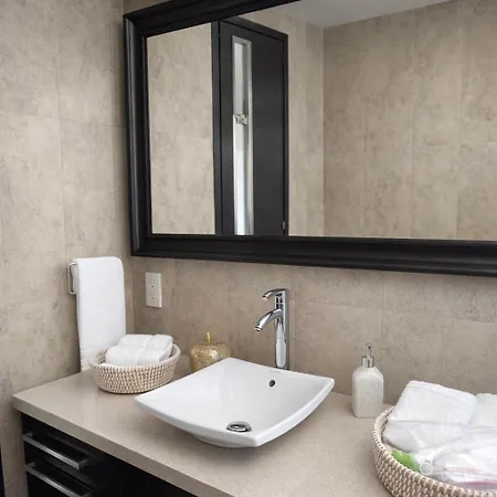 Blue Tulip - Strovolos