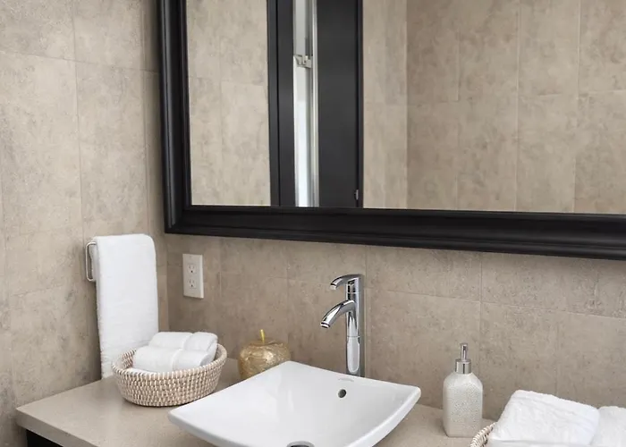 Blue Tulip - Strovolos